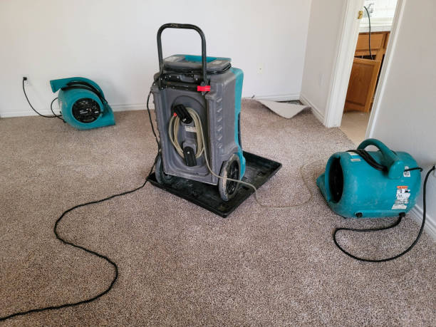 Best Water damage cleanup near me  in Fayetteville, AL
