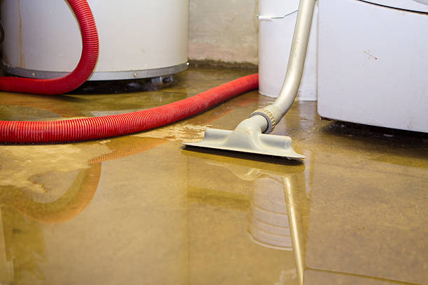 Water damage restoration mold remediation in Fayetteville, AL