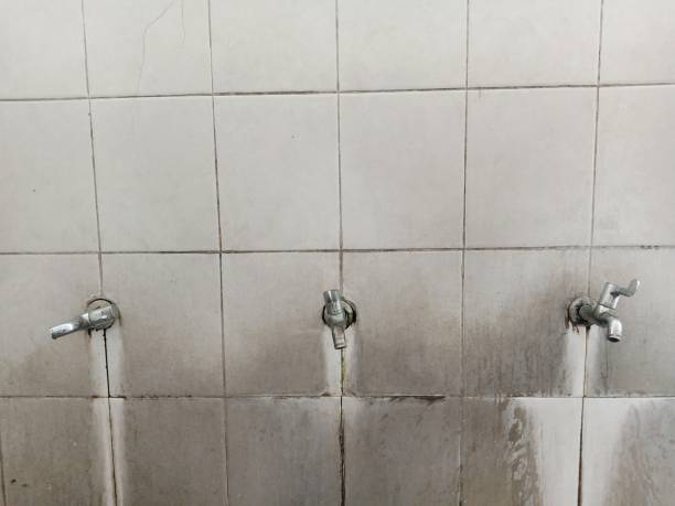 Best Ceiling water damage repair  in Fayetteville, AL