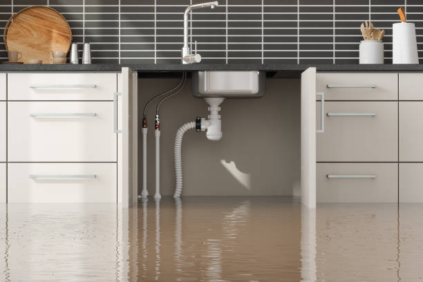 Best Flood damage cleanup  in Fayetteville, AL